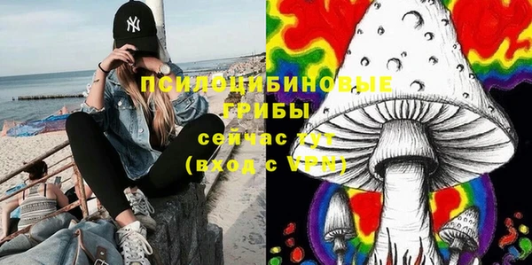 дмт Заволжск