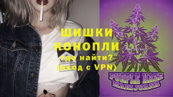 дмт Заволжск